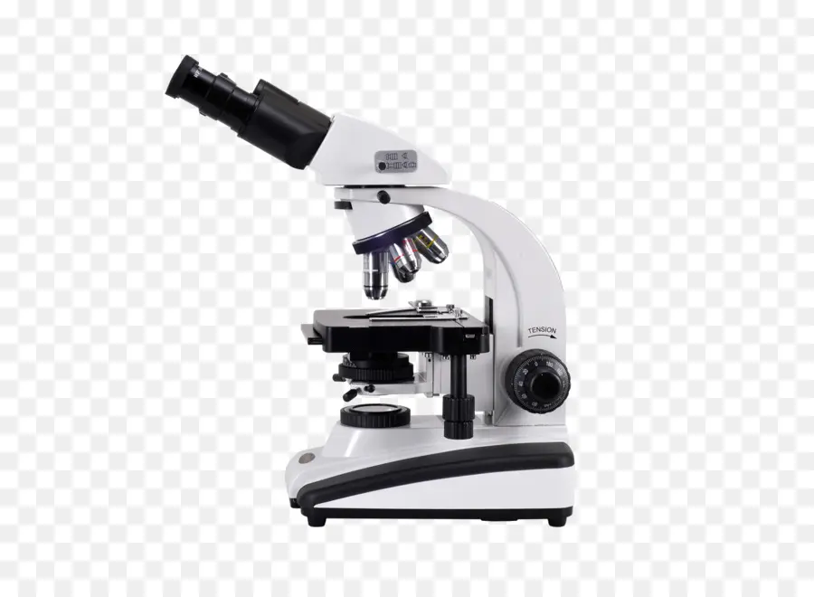 Microscópio，A Varredura De Elétrons Do Microscópio PNG