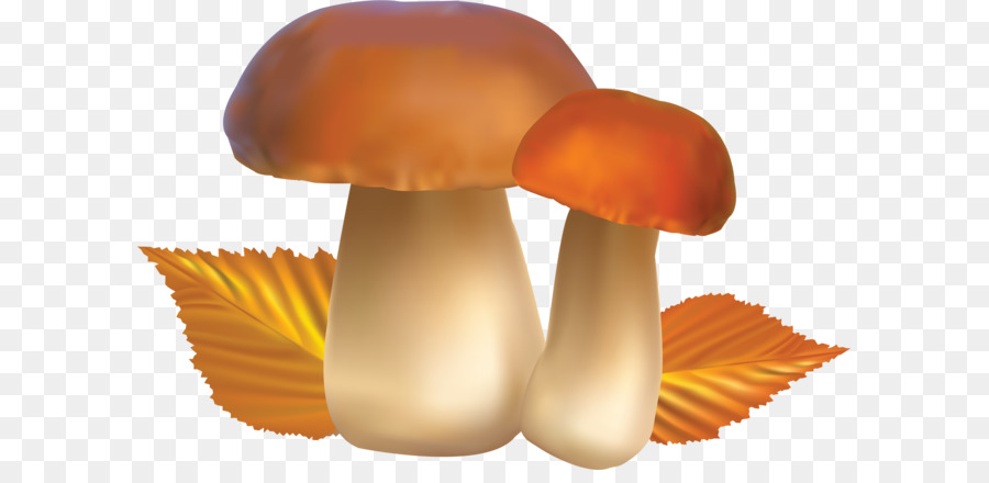 Cogumelos，Fungos PNG