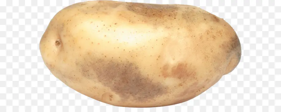 Batata，Tubérculo PNG