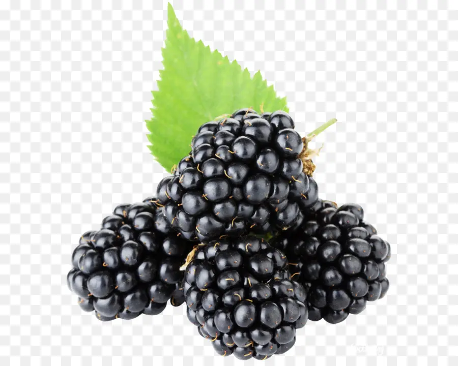 Blackberry，Frutas PNG