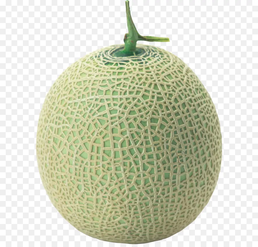 Cantaloupe，Honeydew PNG