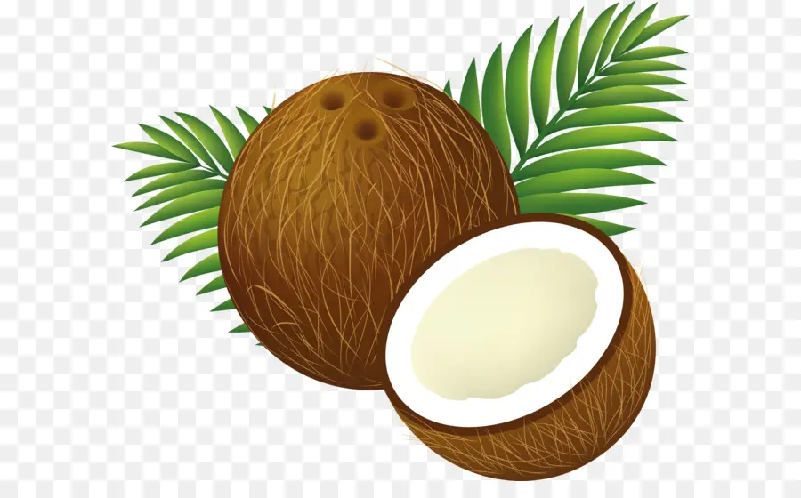 Coco Leite，Coco água PNG
