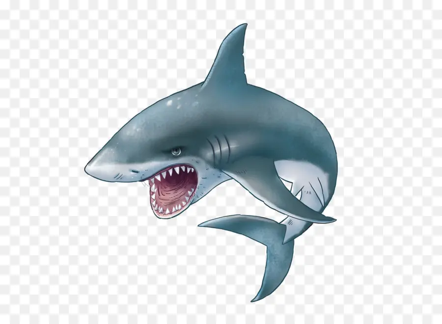 Tubarão，Grande Branca Tubarão PNG