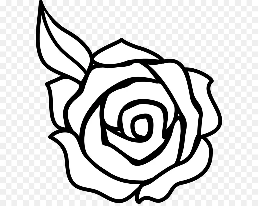 Contorno Rosa，Flor PNG