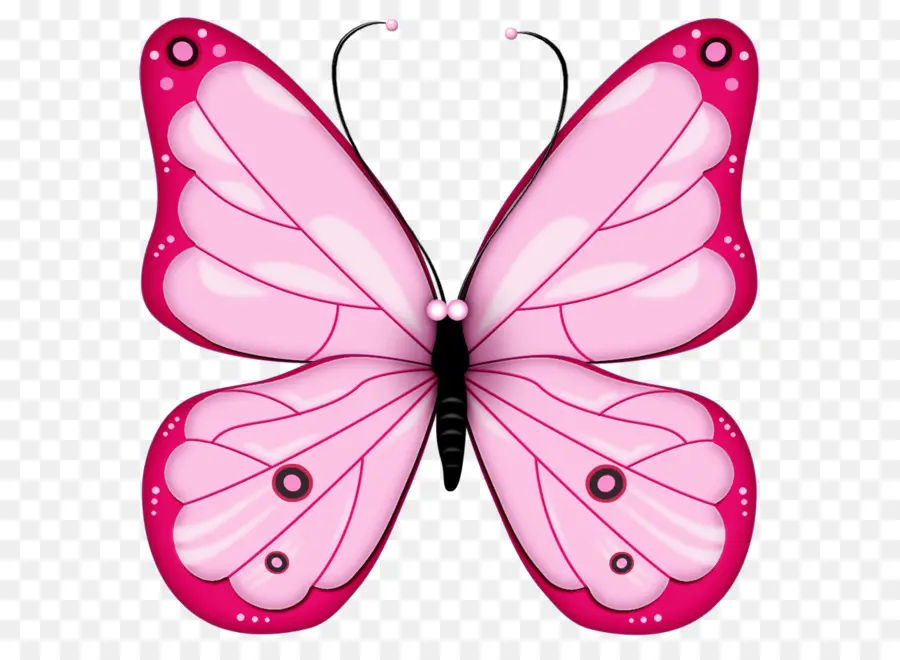 Borboleta，Download PNG