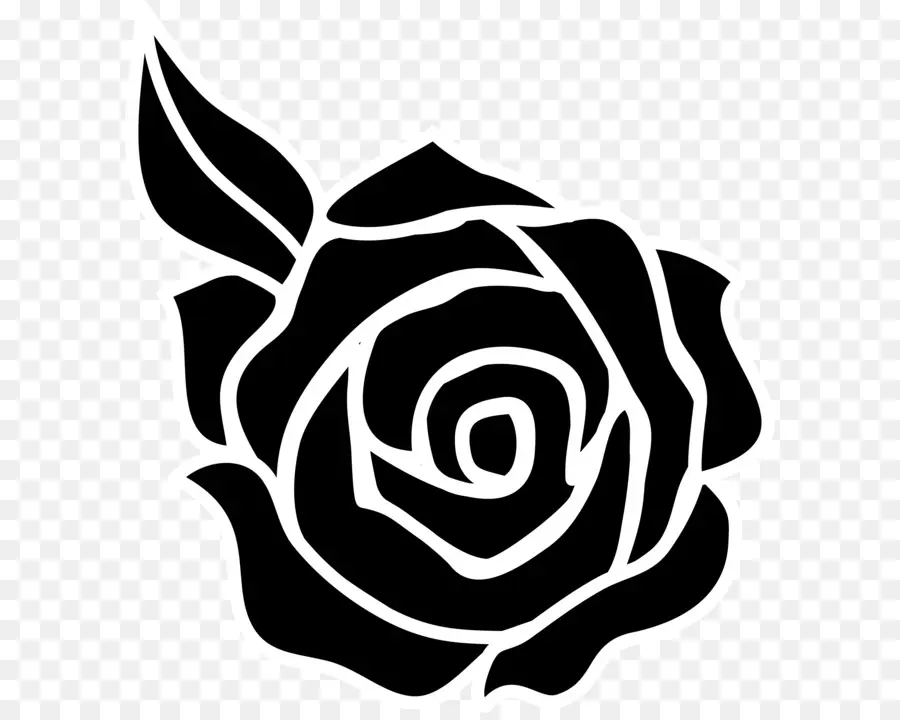 Rosa，Florescer PNG