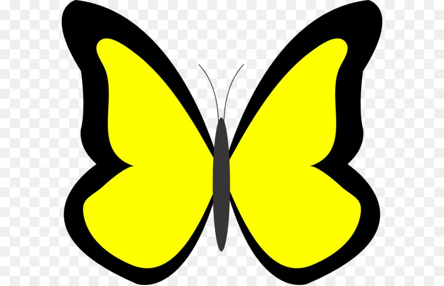 Borboleta，Clip Art De Verão PNG