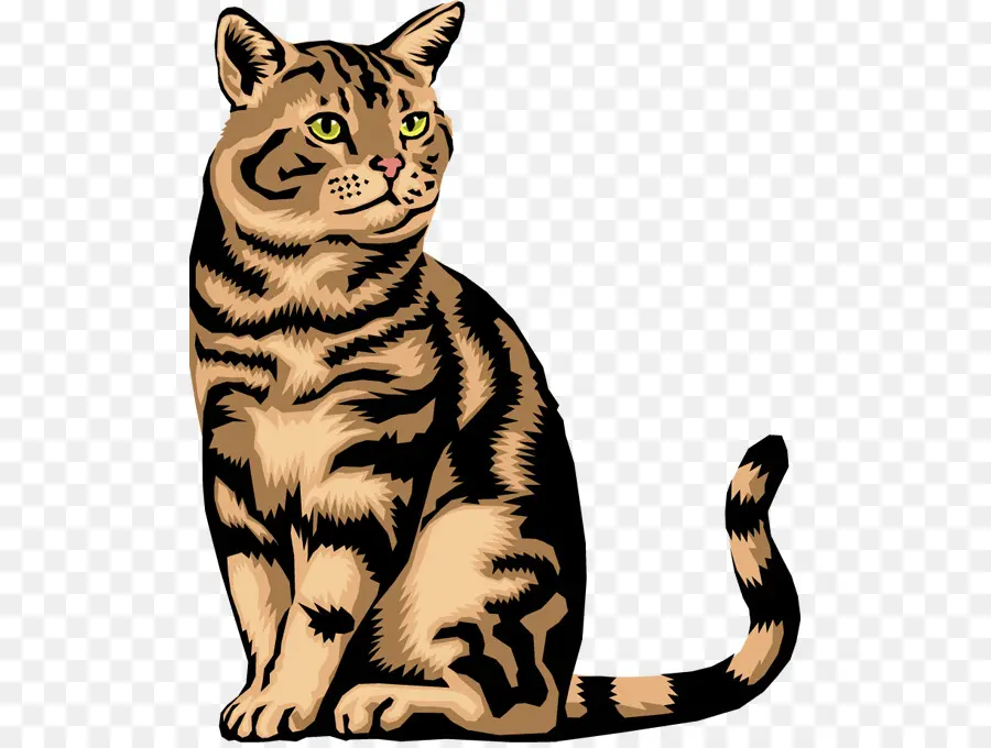 Siamese Cat，Havana Marrom PNG