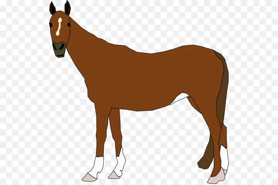 Cavalo Em Pé，Animal PNG