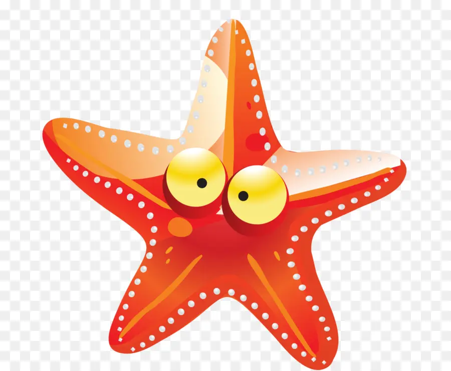 Estrela Do Mar，Cartoon PNG