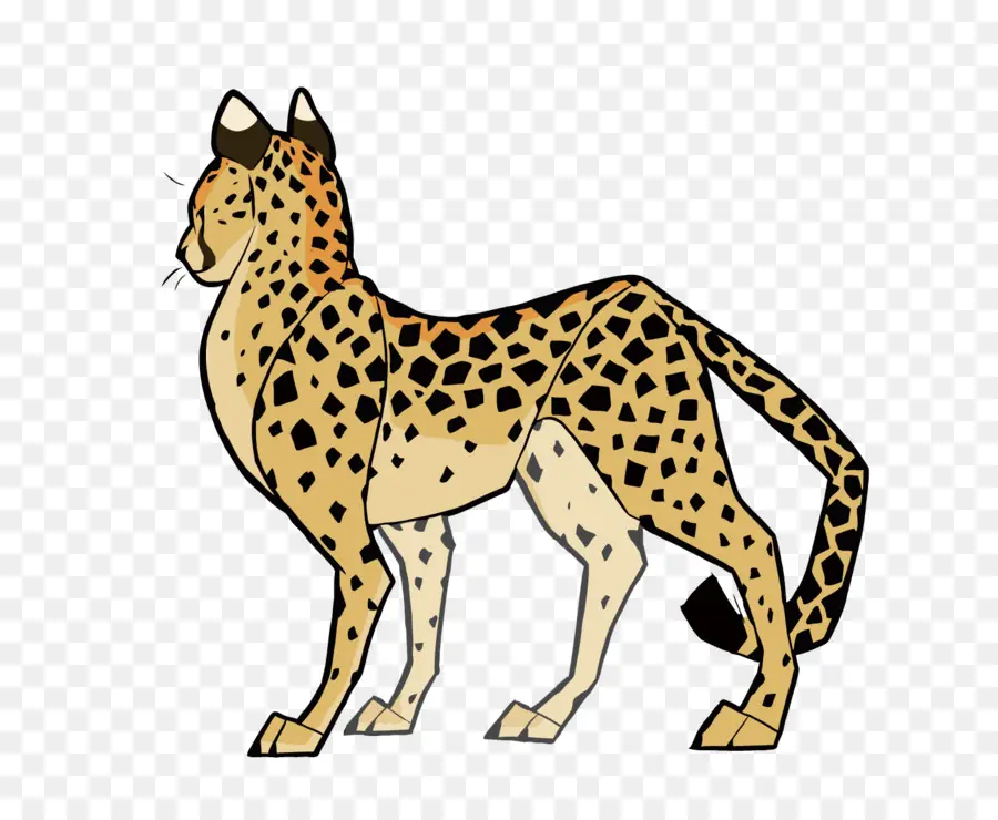Cheetah，Gato PNG