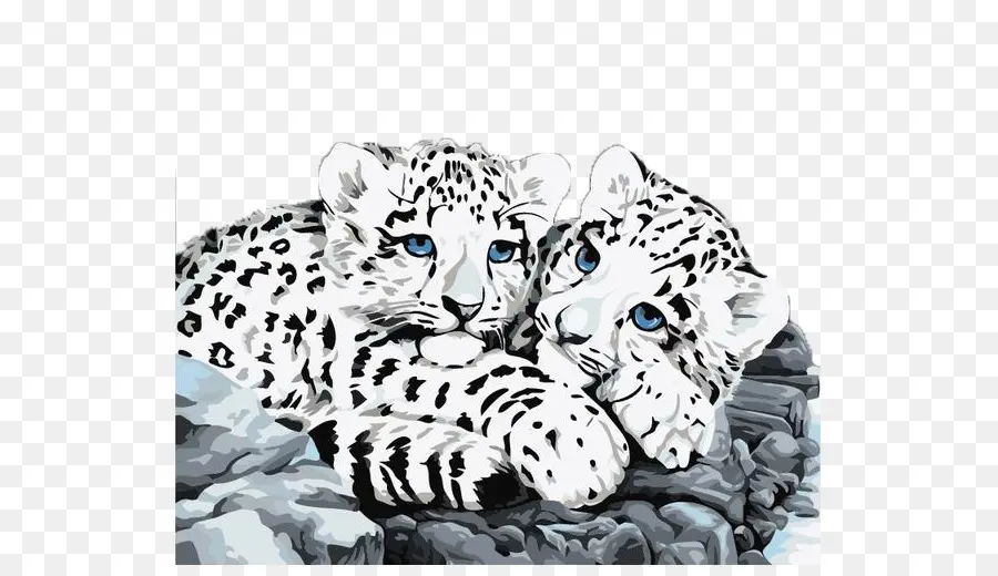 O Snow Leopard，Leopard PNG