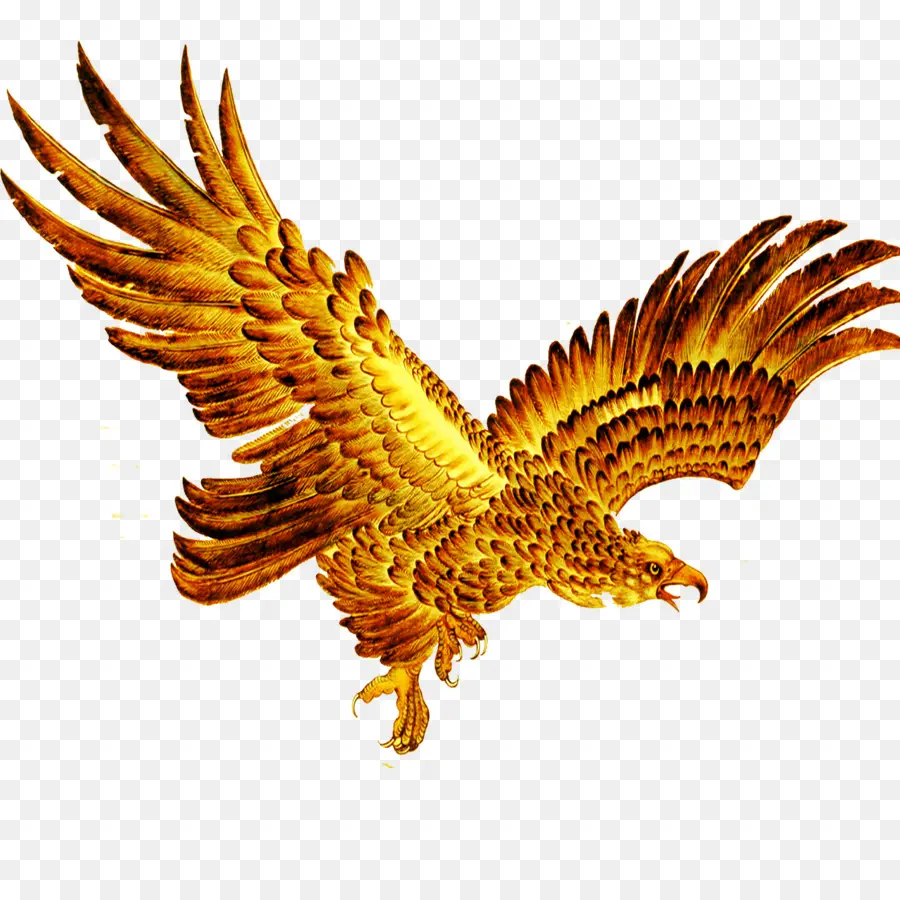 Aves，Voo PNG