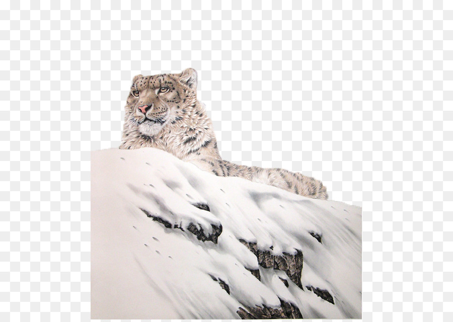 O Snow Leopard，Leopard PNG