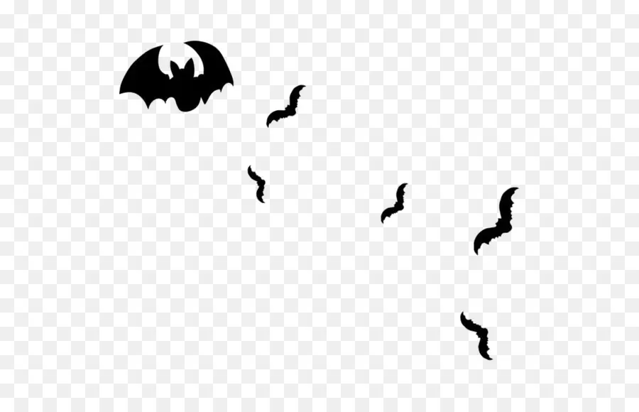 Bat，Aranha PNG