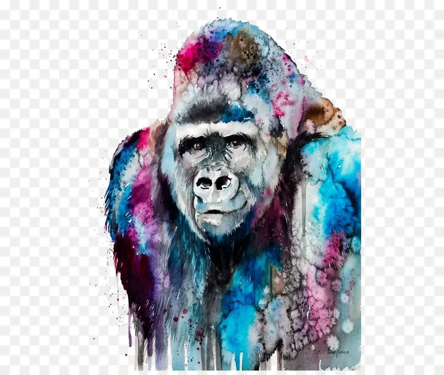 Planície Ocidental Gorila，Pintura PNG
