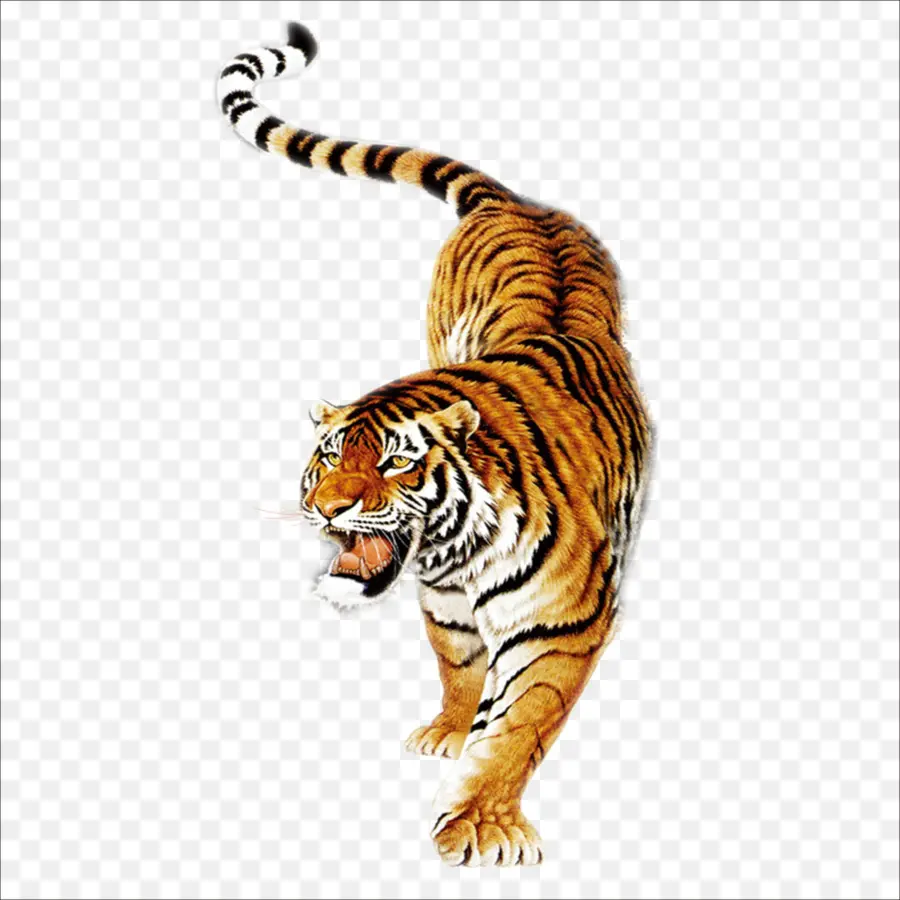 Do Sul Da China Tiger，Tiger Balm PNG