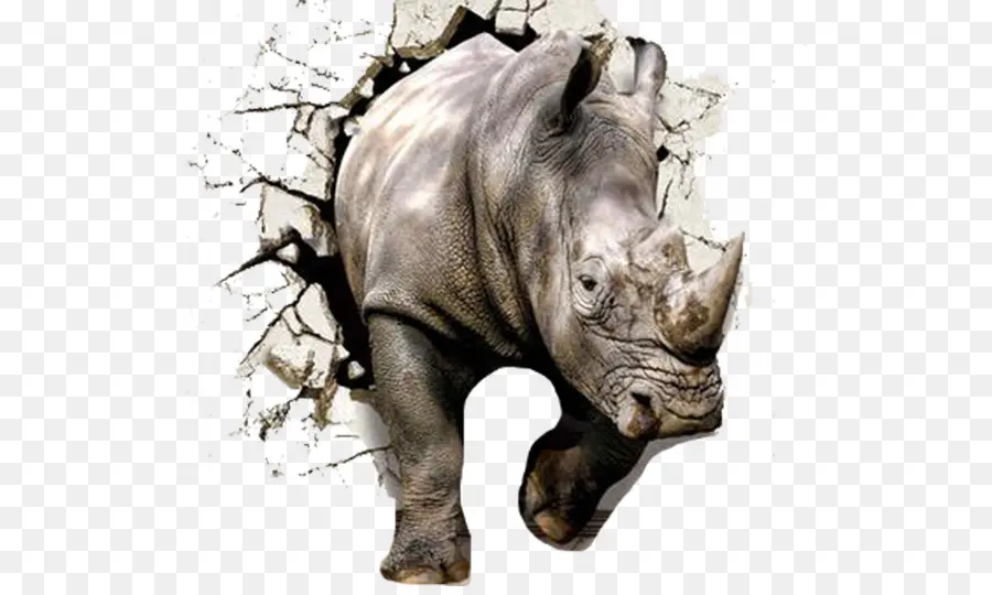Parede，Rhinoceros 3d PNG