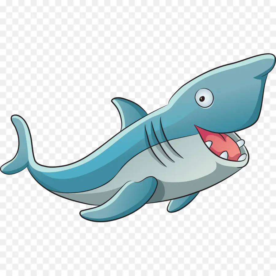 Tubarão，Dolphin PNG
