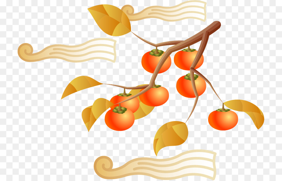 Persimmon Japonês，Frutas PNG