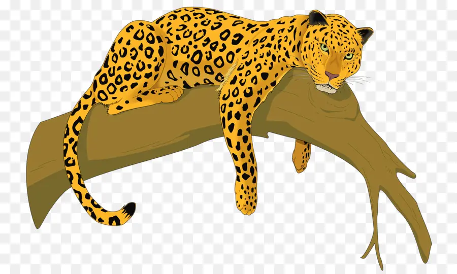 Cheetah，O Leopardo De Amur PNG