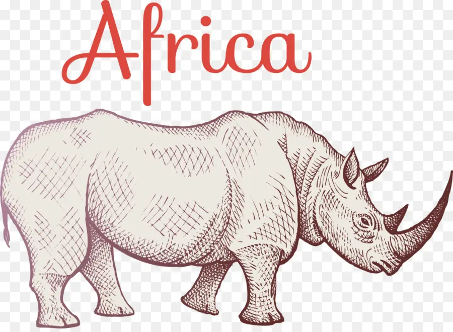 Rhino，Girafa PNG