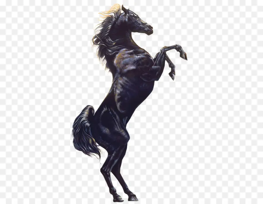 Cavalo，Dados PNG