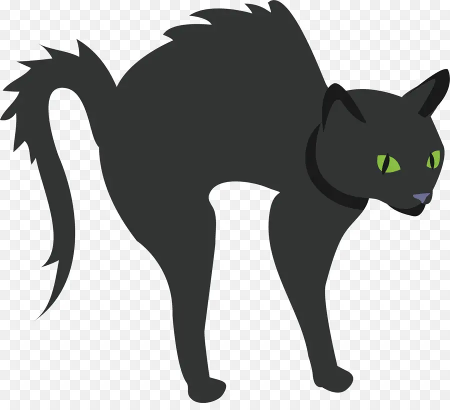 Gato Preto，Dia Das Bruxas PNG