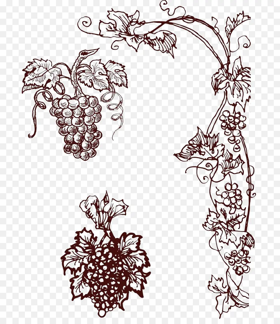 Uvas，Videira PNG