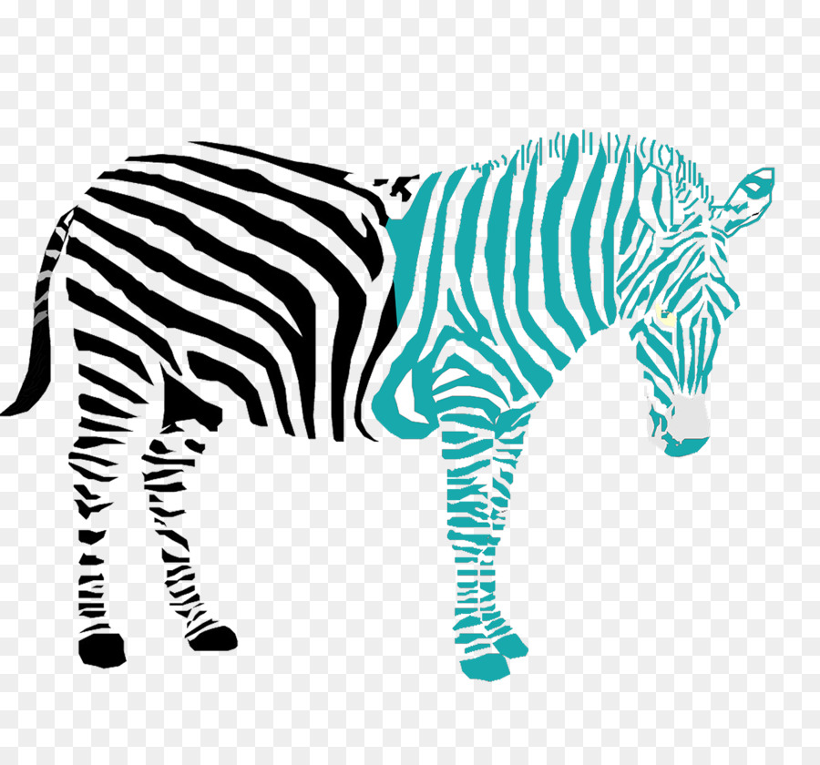 Zebra Colorida，Listras PNG