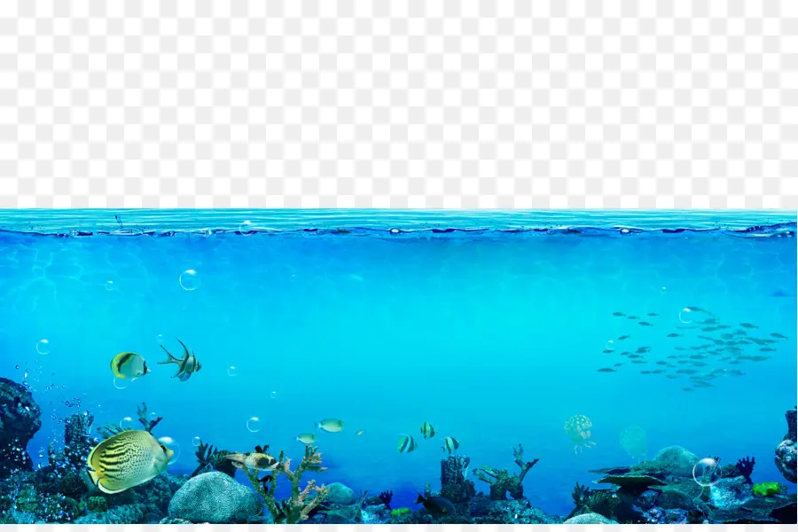 Subaquático，Mar PNG