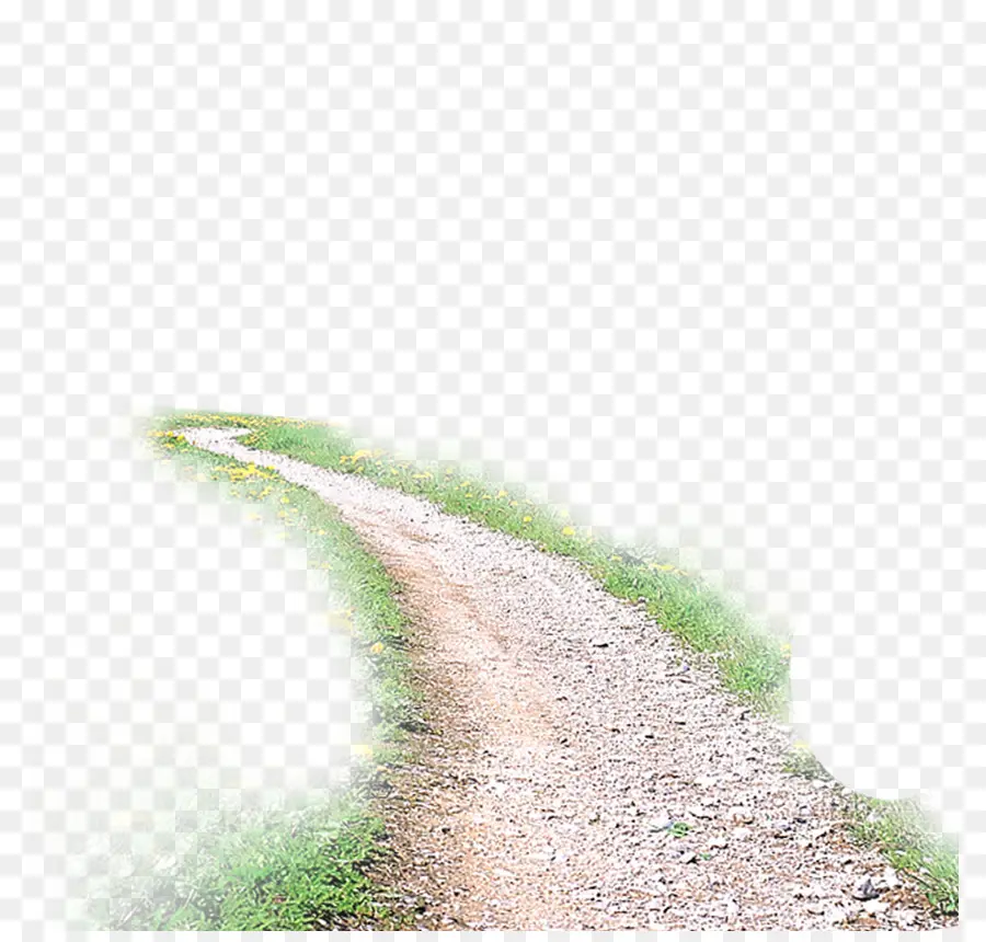 Caminho，Trilha PNG