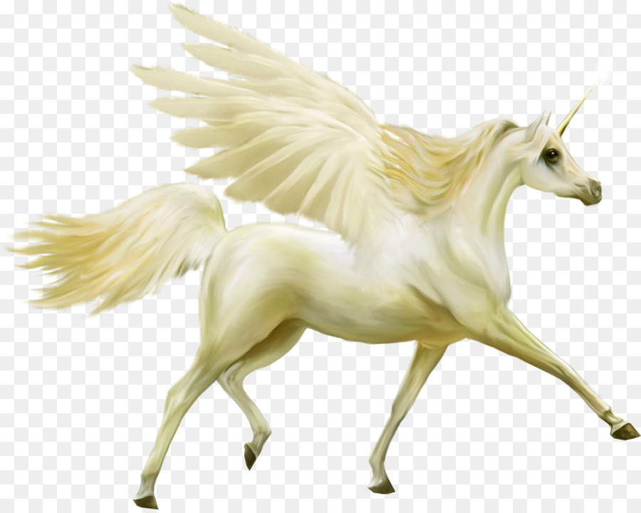 Desenho, Unicórnio, Cavalo png transparente grátis