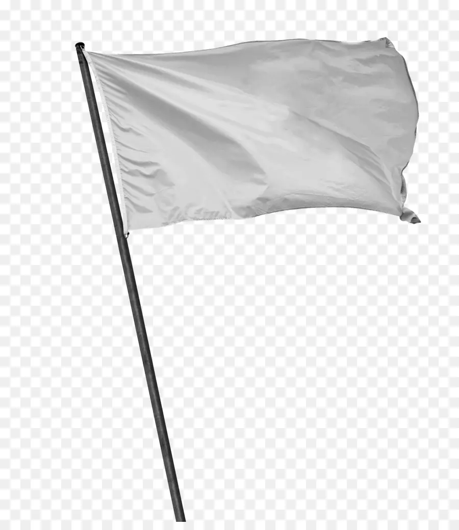 Branco，Bandeira Branca PNG