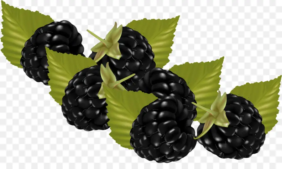 Amoras，Frutas PNG