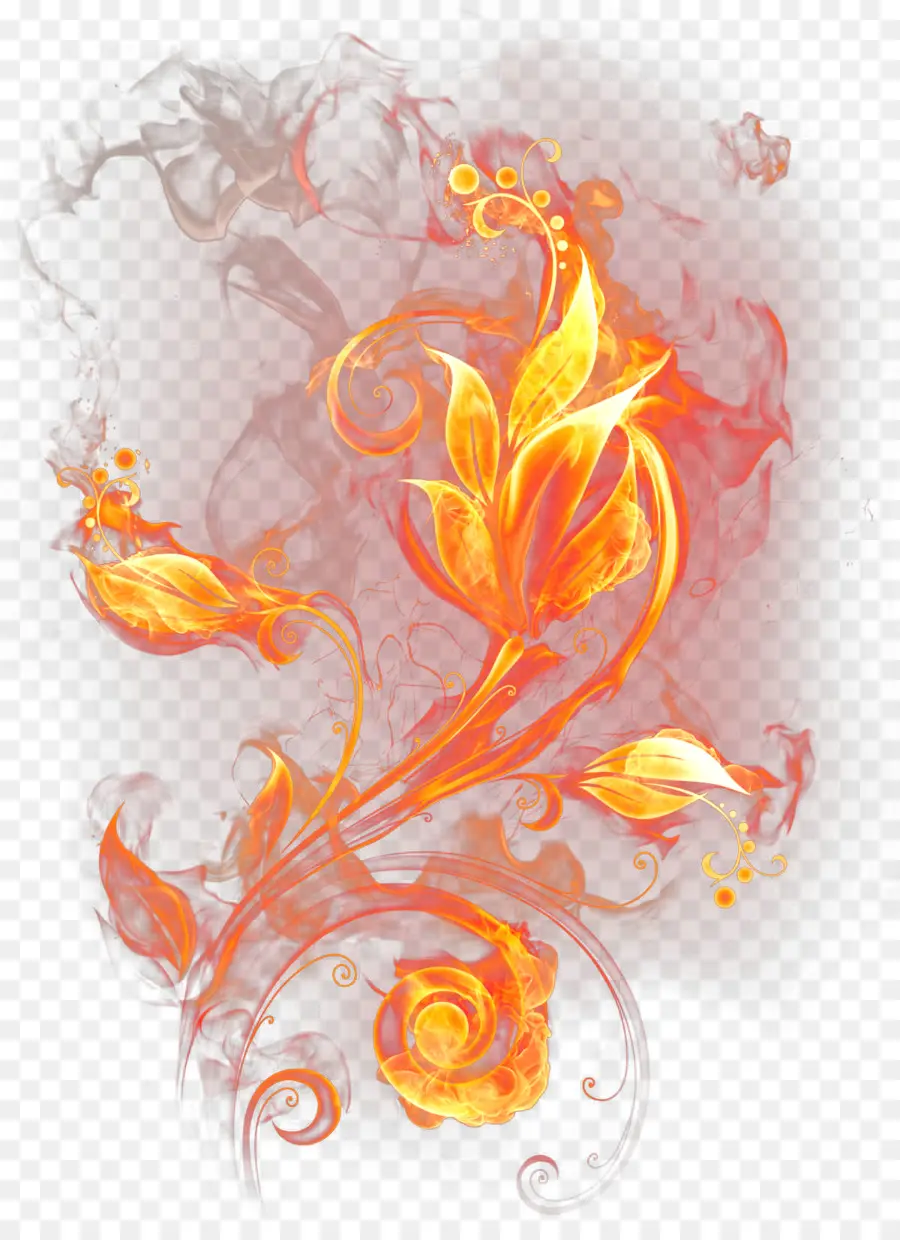 Desenho Floral，Flor PNG