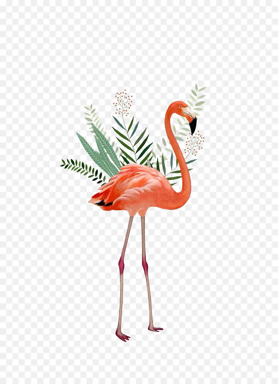 Flamingos，Pintura PNG