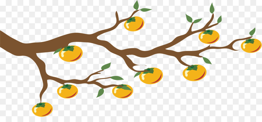 Frutas Laranja，Filial PNG