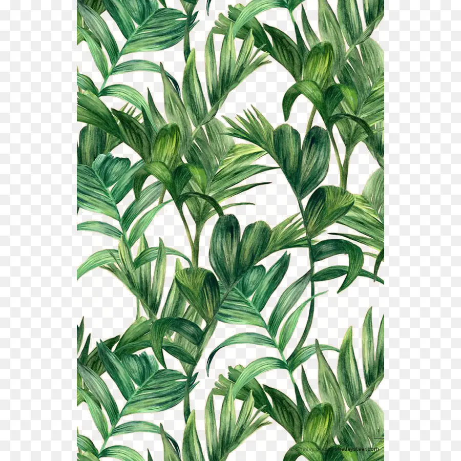 Folhas Verdes，Plantas PNG