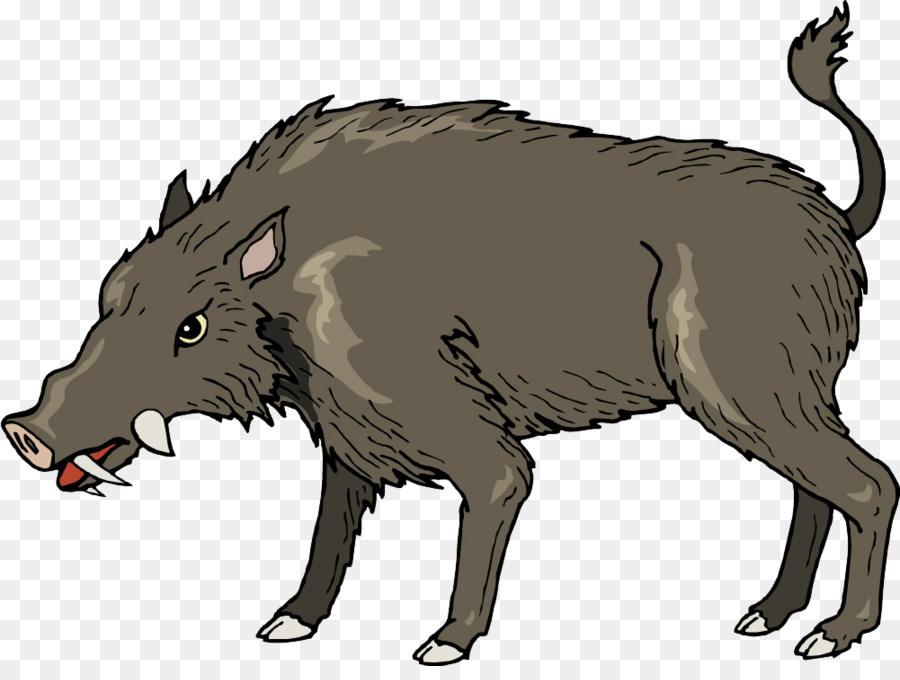 Javali，Pigsy PNG