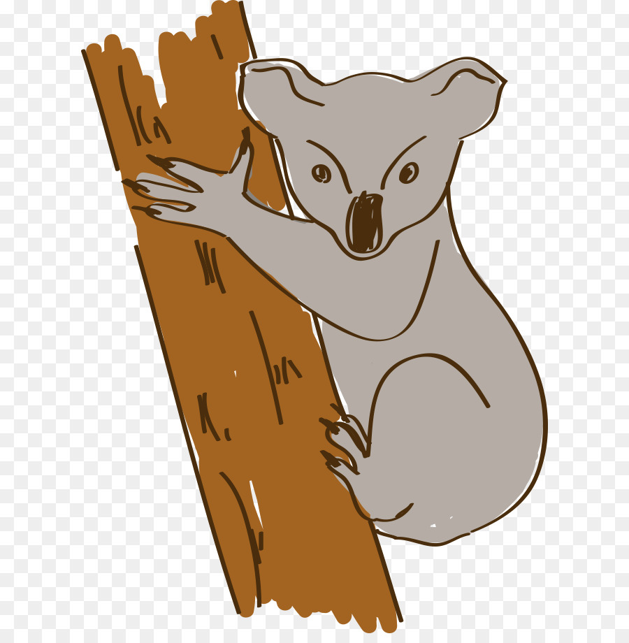 Austrália，Koala PNG