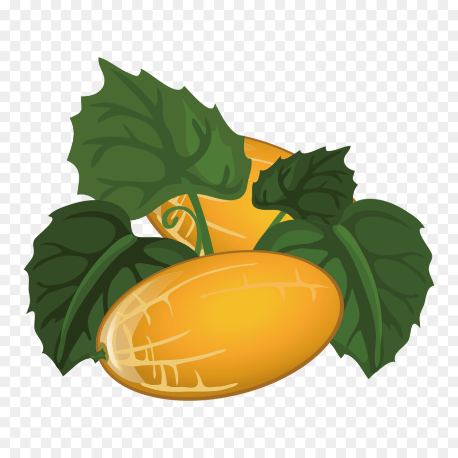 Melão，Frutas PNG