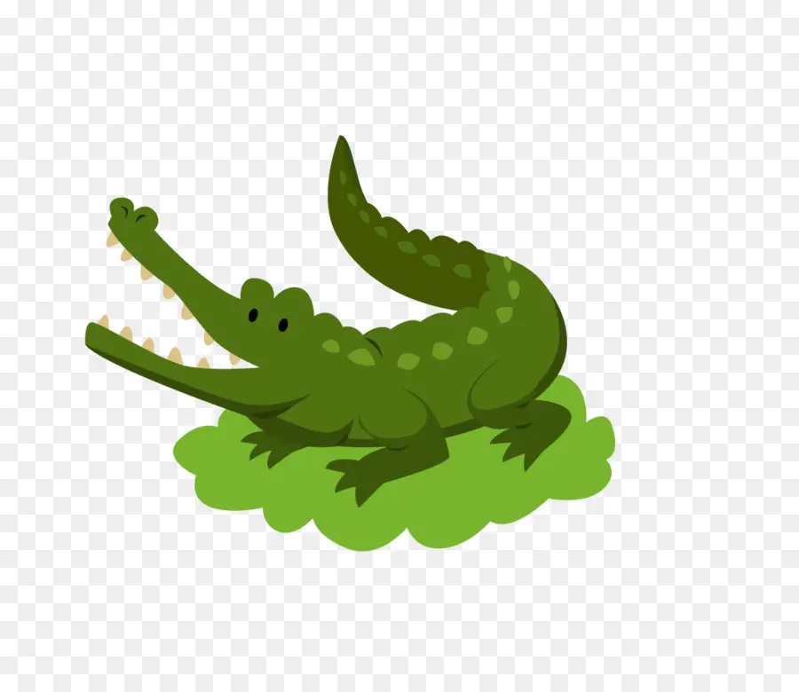 Crocodilo Verde，Bonitinho PNG