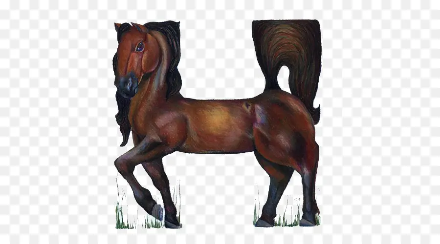 Letra H Em Formato De Cavalo，Animal PNG