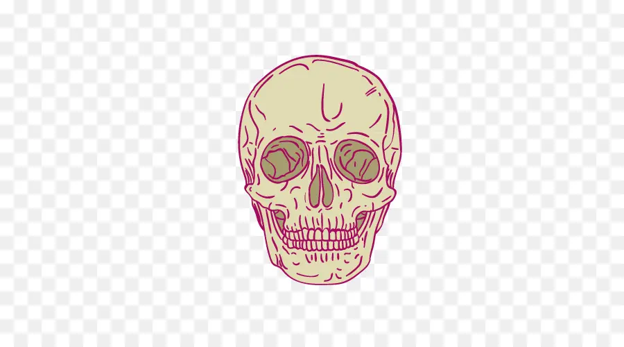 Esqueleto，Cartoon PNG