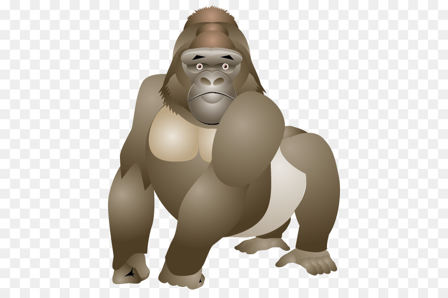 Gorila，Macaco PNG