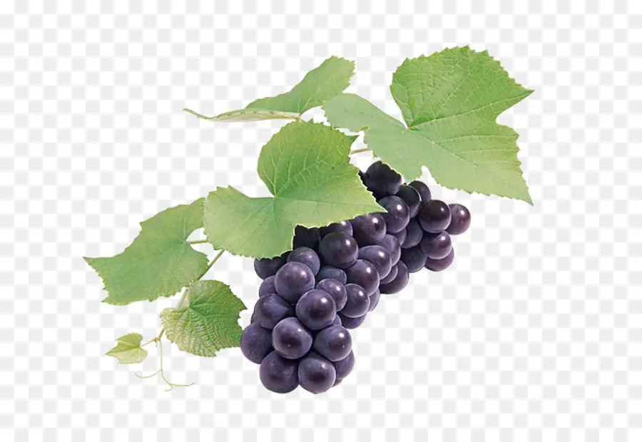 Uva，Vinho PNG