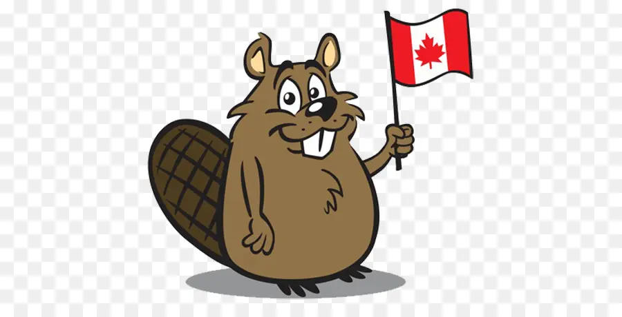 Canadá，Norte Americana Beaver PNG