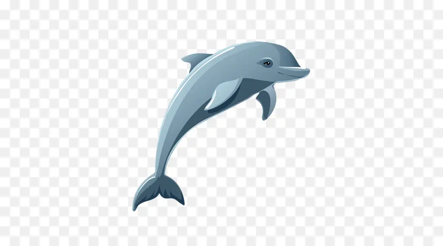 Dolphin，Cartoon PNG