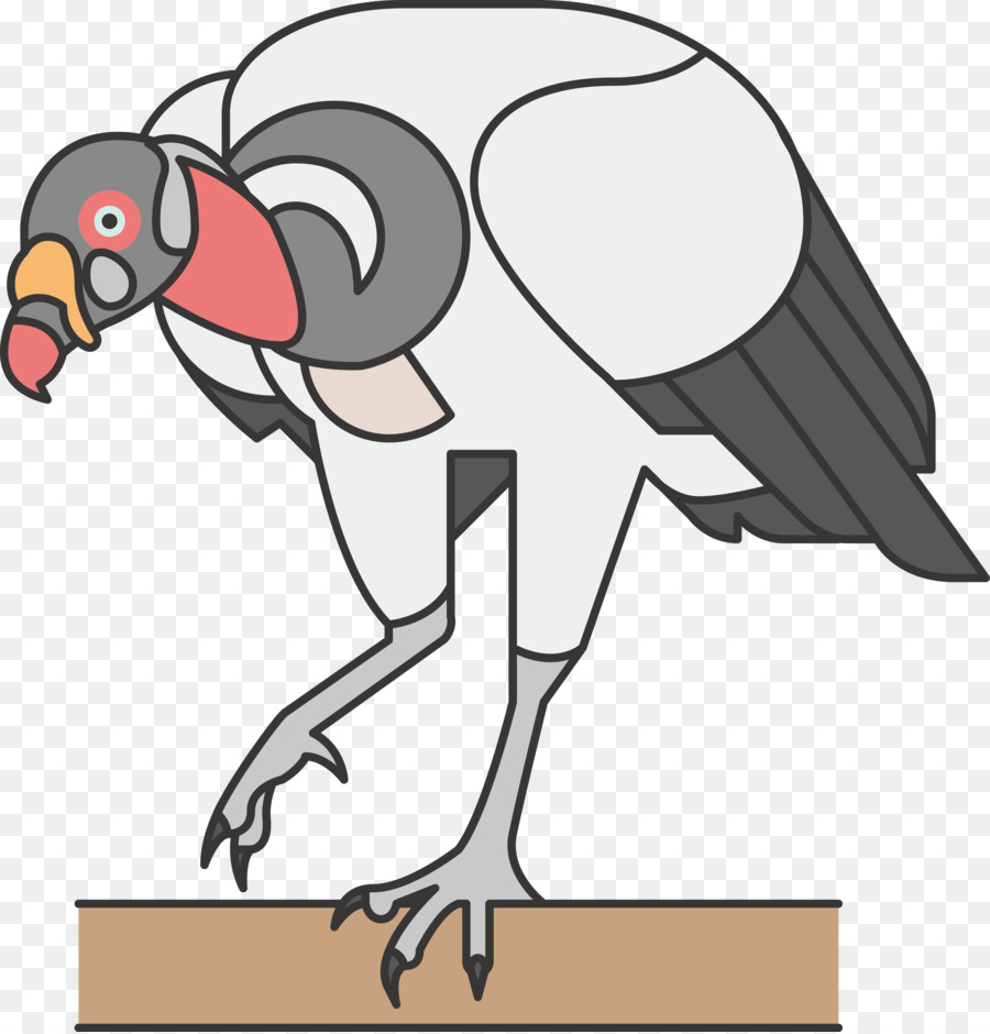 Comum De Avestruz，Aves PNG